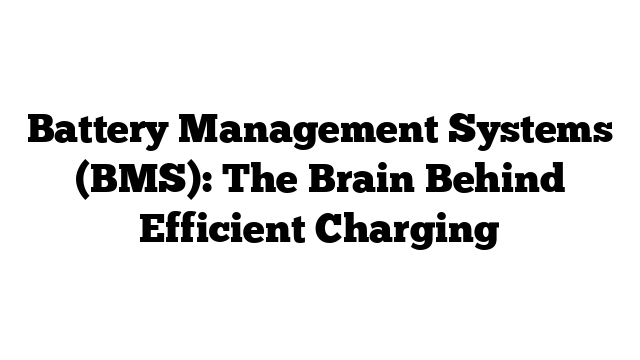Battery Management Systems (BMS): The Brain Behind Efficient Charging