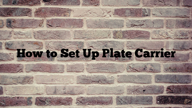 How to Set Up Plate Carrier