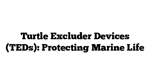 Turtle Excluder Devices (TEDs): Protecting Marine Life