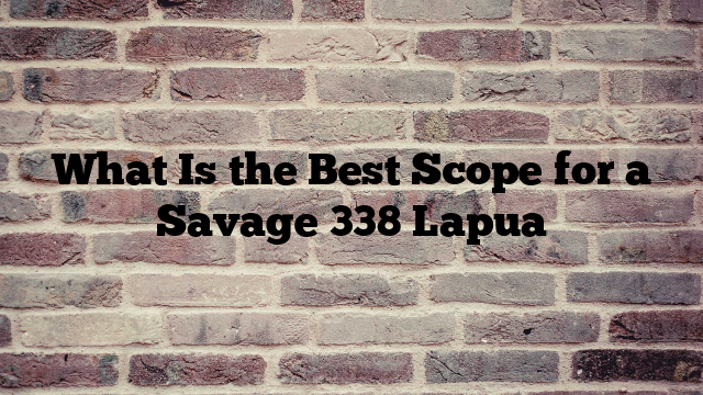 What Is the Best Scope for a Savage 338 Lapua