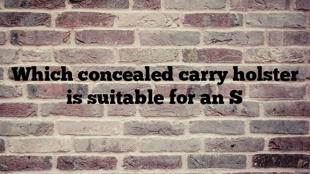 Which concealed carry holster is suitable for an S
